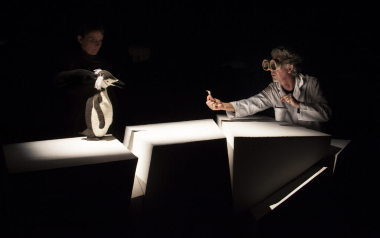 DE QUOI RÊVENT LES PINGOUINS ?