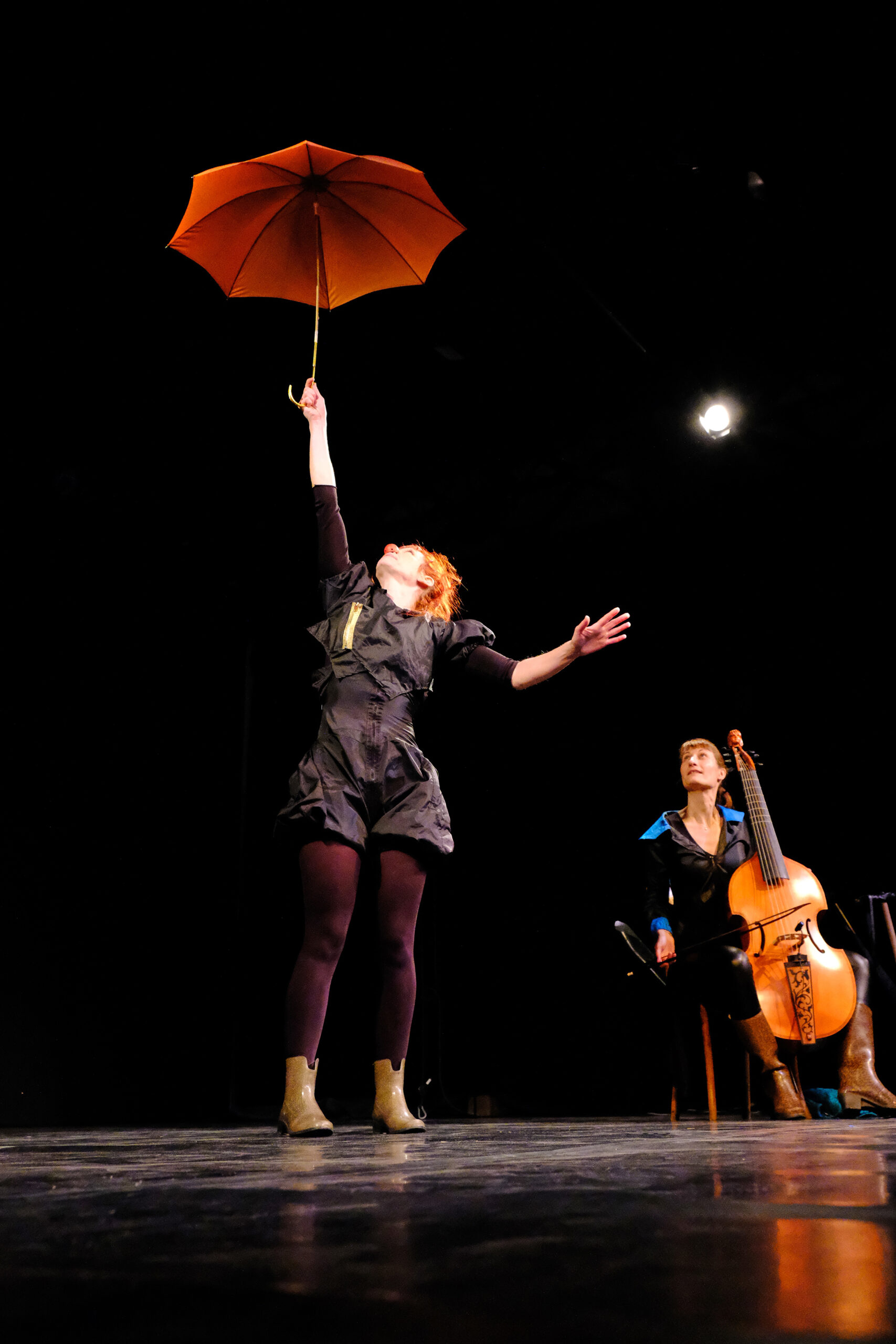 VARIATIONS POUR UN PARAPLUIE
